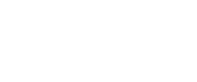Abundis Services
